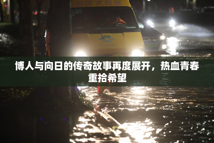 博人与向日的传奇故事再度展开，热血青春重拾希望