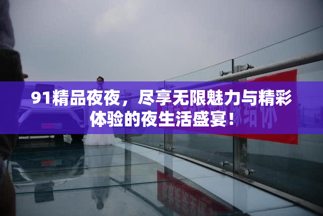 91精品夜夜，尽享无限魅力与精彩体验的夜生活盛宴！