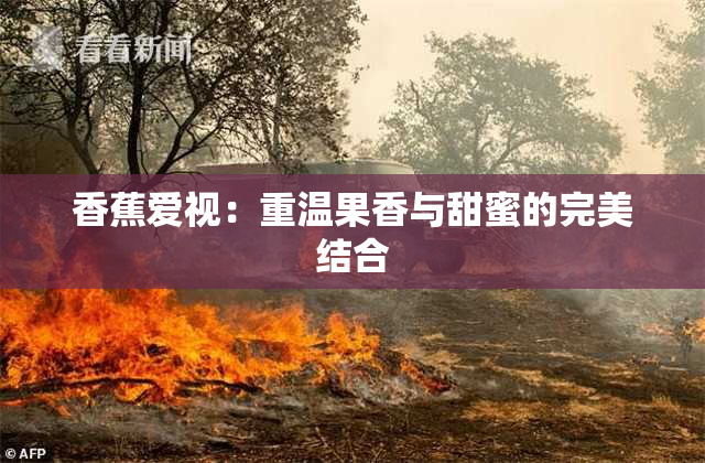 香蕉爱视：重温果香与甜蜜的完美结合
