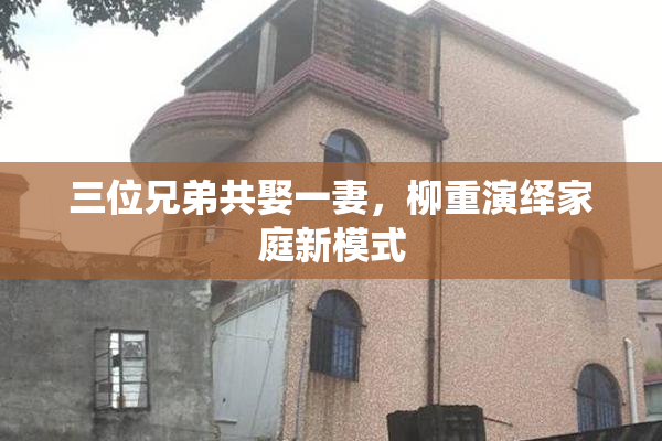 三位兄弟共娶一妻，柳重演绎家庭新模式