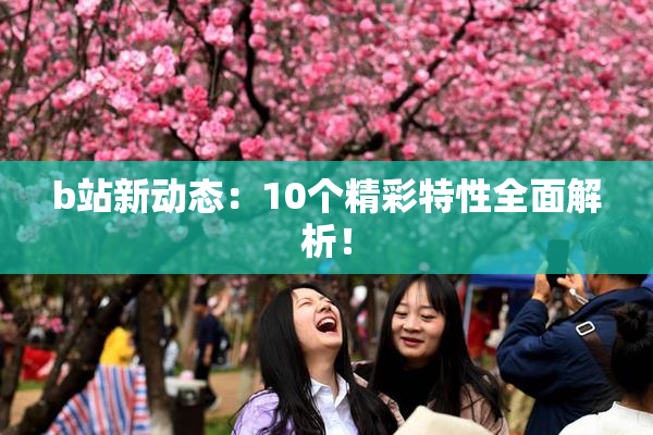 b站新动态：10个精彩特性全面解析！