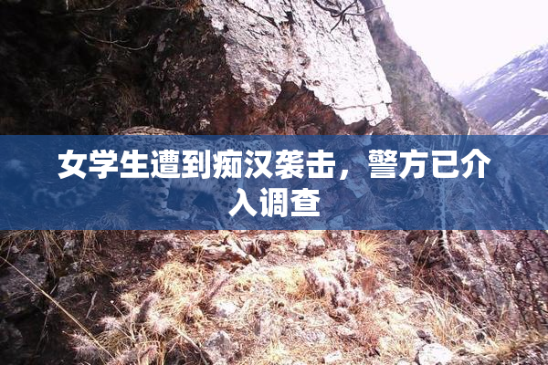 女学生遭到痴汉袭击，警方已介入调查