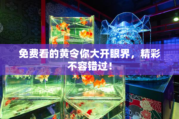 免费看的黄令你大开眼界，精彩不容错过！