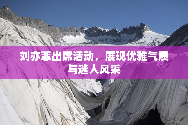 刘亦菲出席活动，展现优雅气质与迷人风采