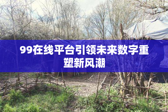 99在线平台引领未来数字重塑新风潮