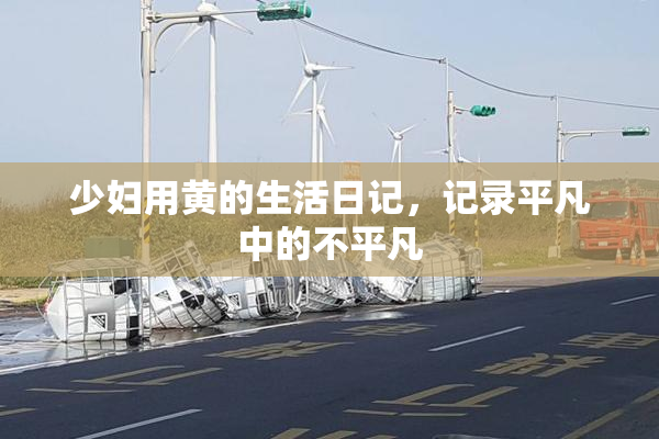 少妇用黄的生活日记，记录平凡中的不平凡