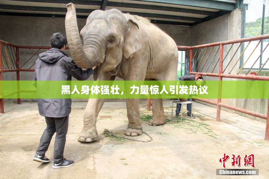 黑人身体强壮，力量惊人引发热议