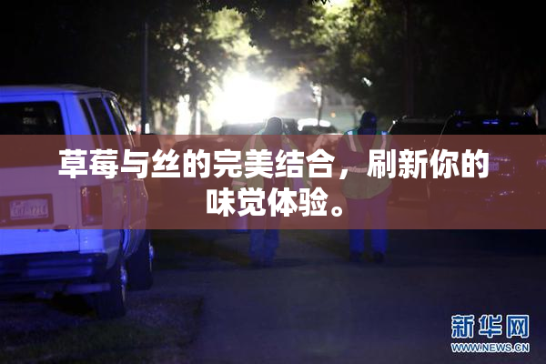 草莓与丝的完美结合，刷新你的味觉体验。