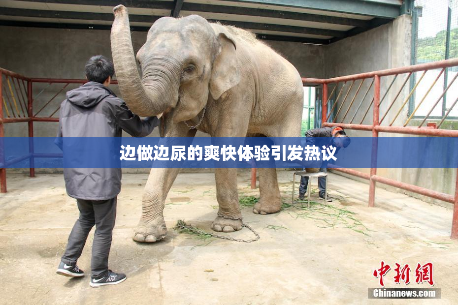 边做边尿的爽快体验引发热议