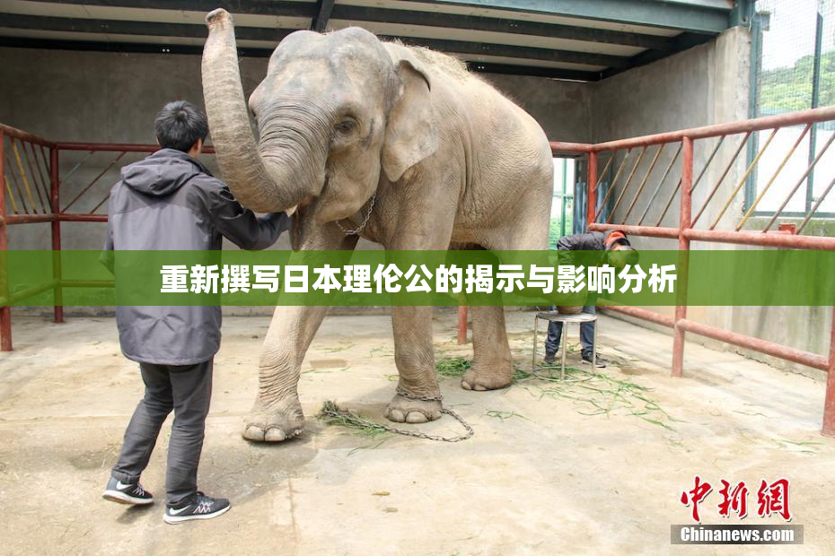 重新撰写日本理伦公的揭示与影响分析