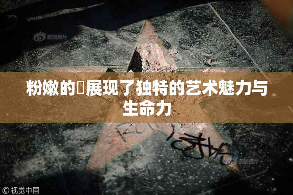 粉嫩的泬展现了独特的艺术魅力与生命力