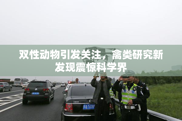双性动物引发关注，禽类研究新发现震惊科学界