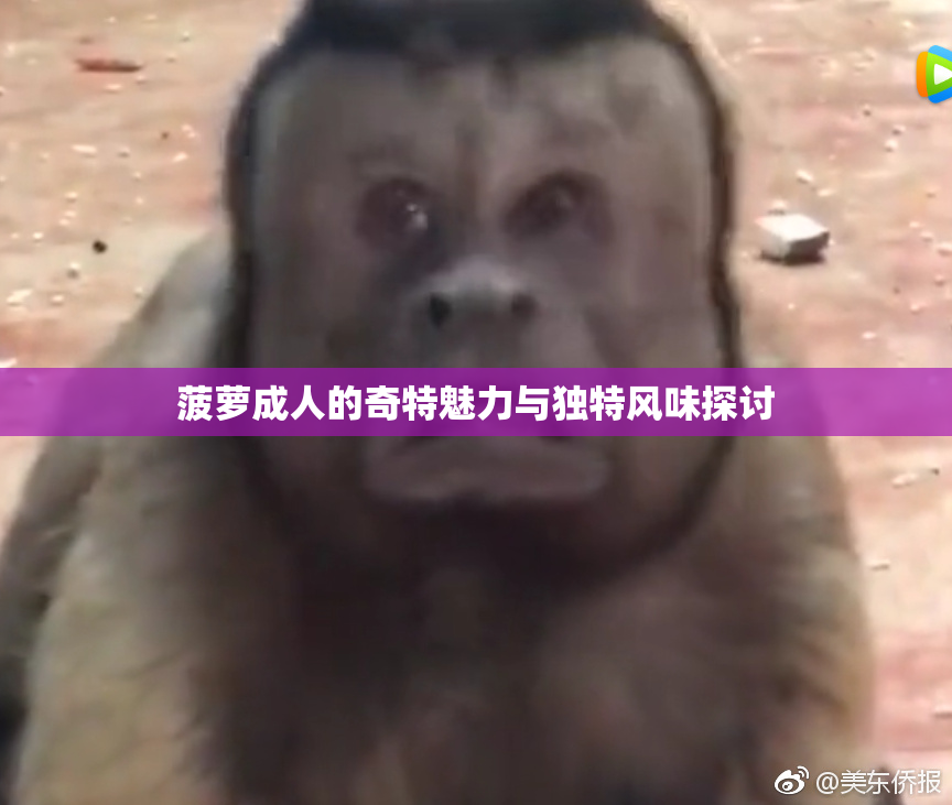 菠萝成人的奇特魅力与独特风味探讨