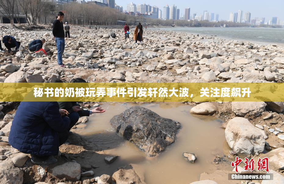 秘书的奶被玩弄事件引发轩然大波，关注度飙升