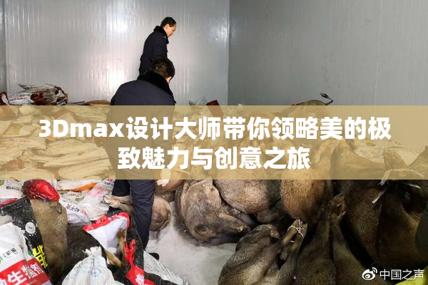 3Dmax设计大师带你领略美的极致魅力与创意之旅