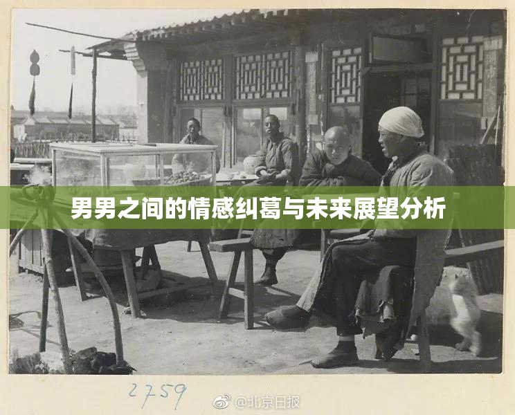 男男之间的情感纠葛与未来展望分析