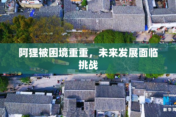 阿狸被困境重重，未来发展面临挑战