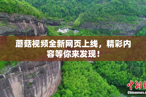 蘑菇视频全新网页上线，精彩内容等你来发现！