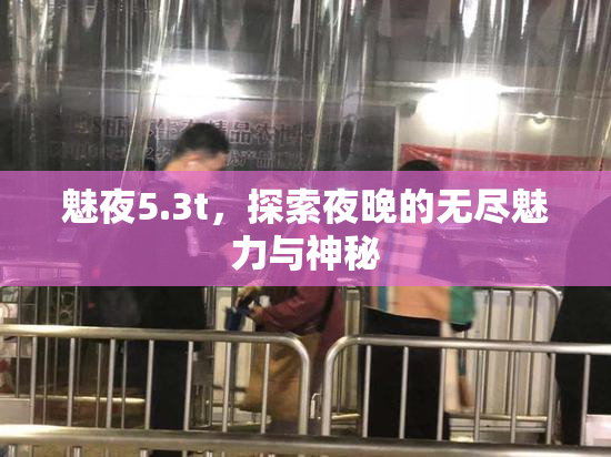 魅夜5.3t，探索夜晚的无尽魅力与神秘
