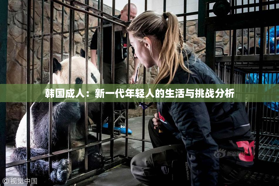 韩国成人：新一代年轻人的生活与挑战分析