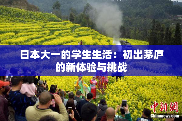 日本大一的学生生活：初出茅庐的新体验与挑战