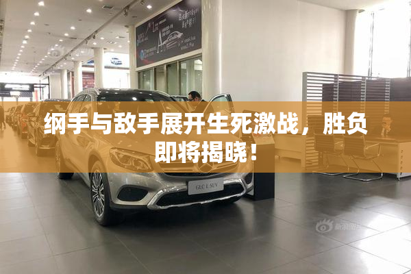 纲手与敌手展开生死激战，胜负即将揭晓！