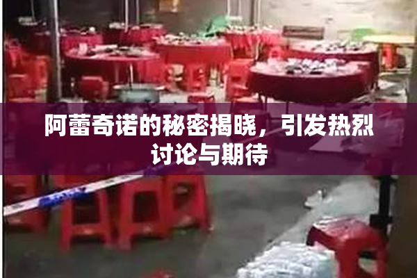阿蕾奇诺的秘密揭晓，引发热烈讨论与期待