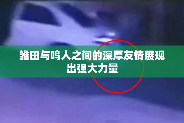 雏田与鸣人之间的深厚友情展现出强大力量