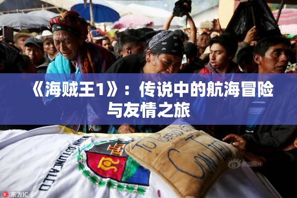 《海贼王1》：传说中的航海冒险与友情之旅