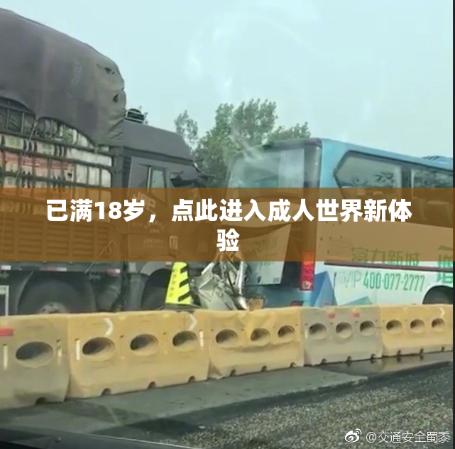 已满18岁，点此进入成人世界新体验