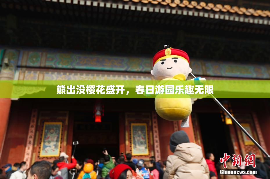 熊出没樱花盛开，春日游园乐趣无限
