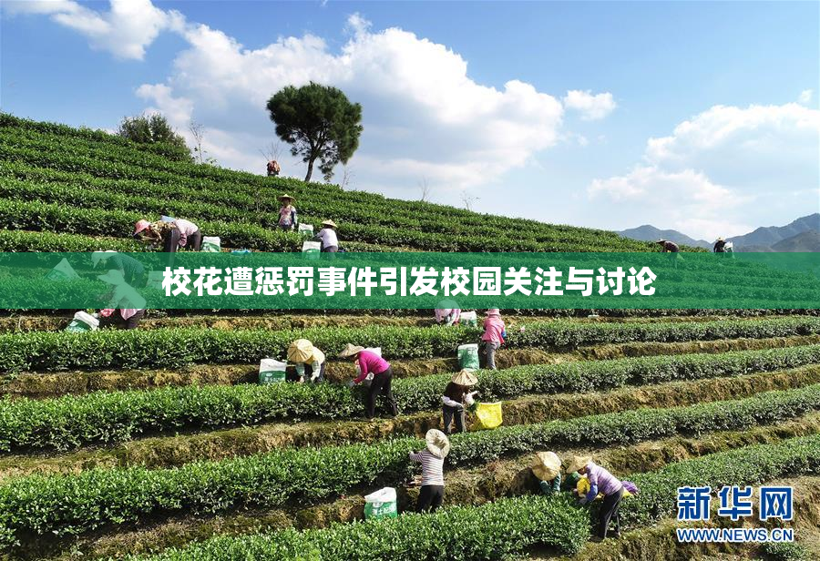 校花遭惩罚事件引发校园关注与讨论