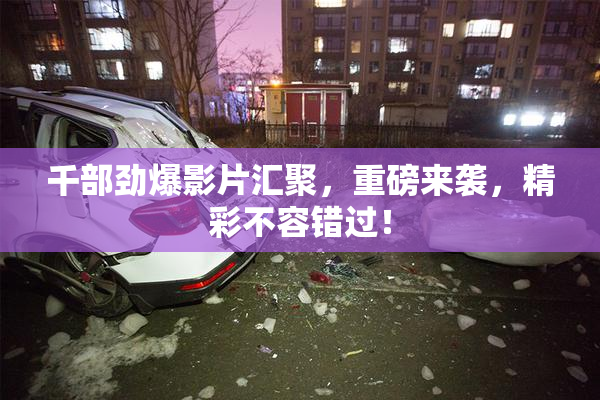 千部劲爆影片汇聚，重磅来袭，精彩不容错过！