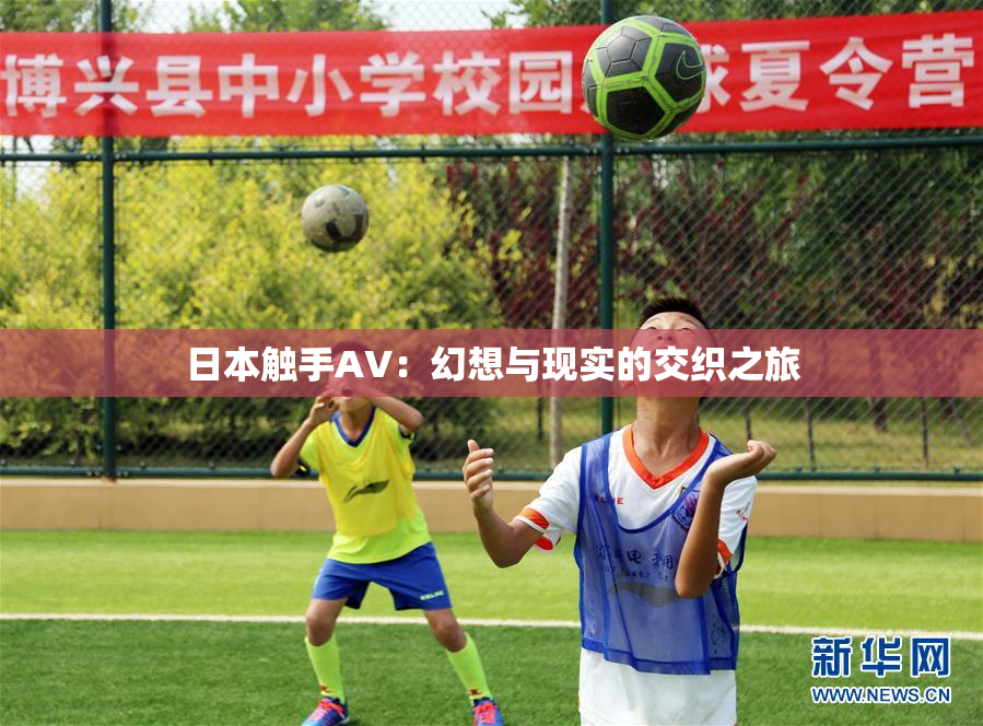 日本触手AV：幻想与现实的交织之旅