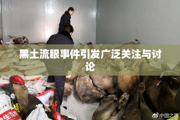 黑土流眼事件引发广泛关注与讨论