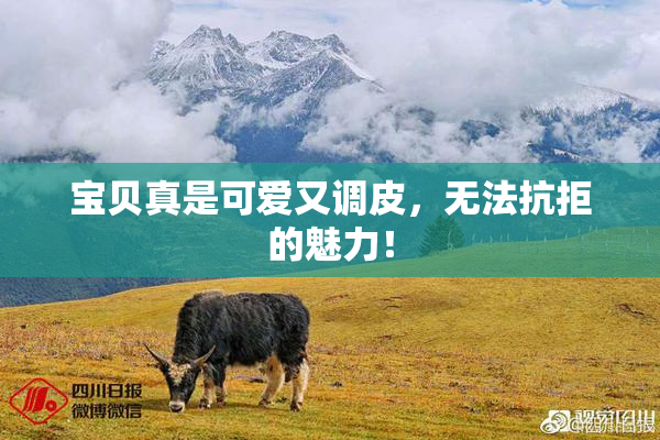 宝贝真是可爱又调皮，无法抗拒的魅力！