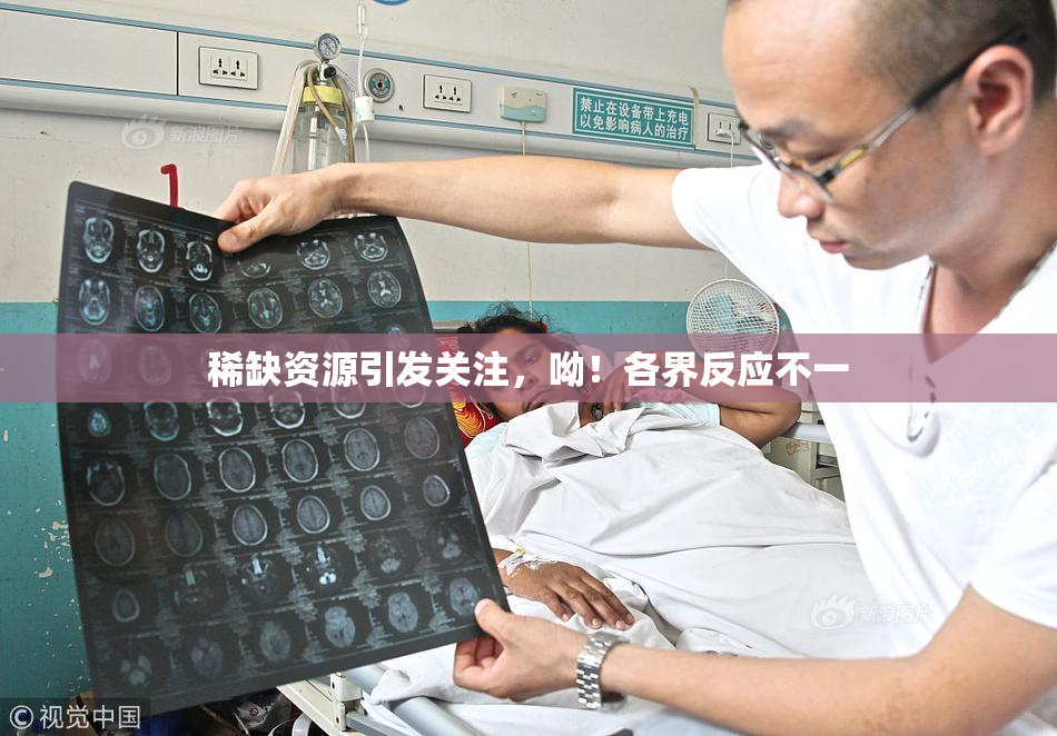 稀缺资源引发关注，呦！各界反应不一