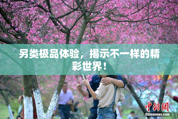 另类极品体验，揭示不一样的精彩世界！