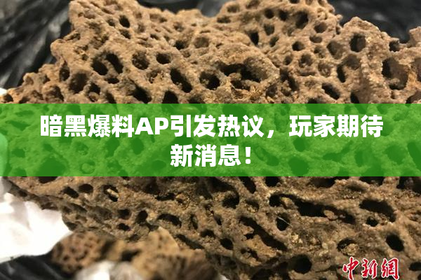 暗黑爆料AP引发热议，玩家期待新消息！
