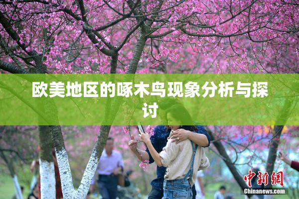 欧美地区的啄木鸟现象分析与探讨