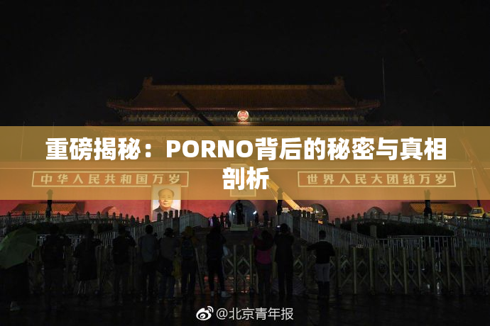 重磅揭秘：PORNO背后的秘密与真相剖析
