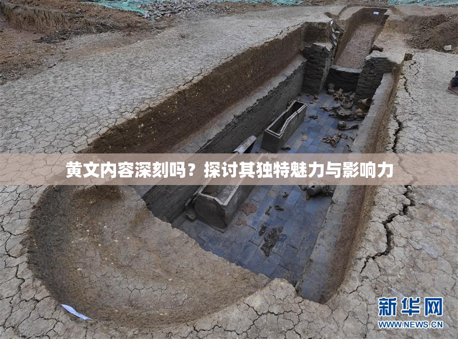 黄文内容深刻吗？探讨其独特魅力与影响力