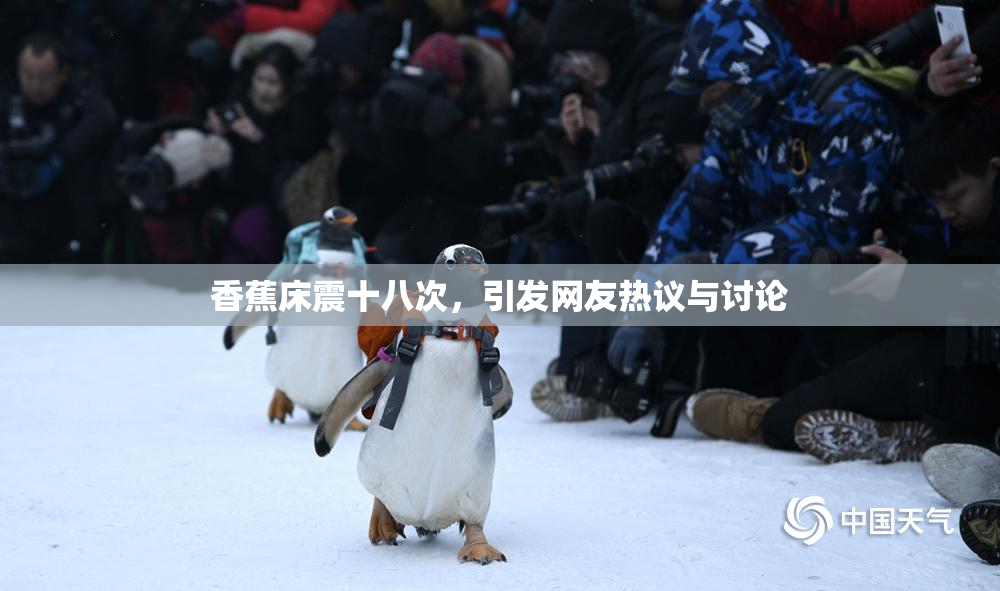 香蕉床震十八次，引发网友热议与讨论