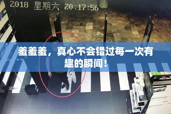 羞羞羞，真心不会错过每一次有趣的瞬间！