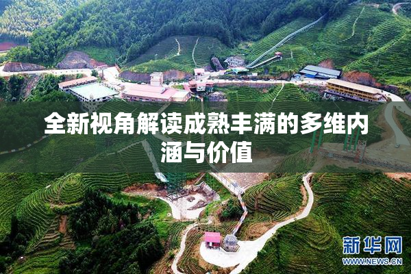 全新视角解读成熟丰满的多维内涵与价值