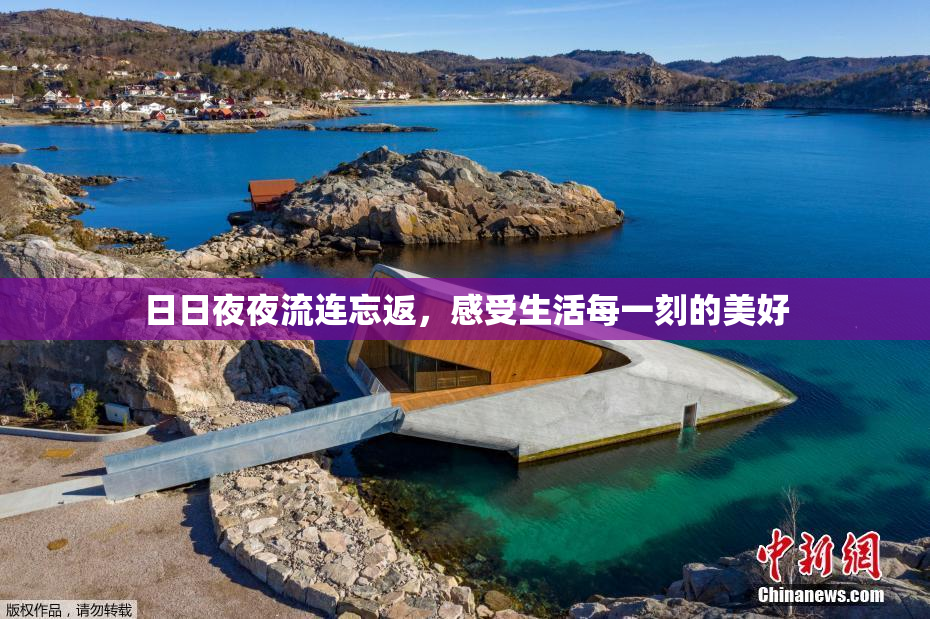日日夜夜流连忘返，感受生活每一刻的美好