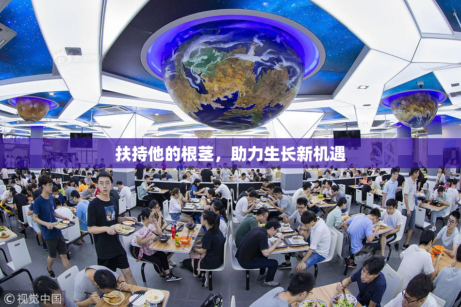扶持他的根茎，助力生长新机遇