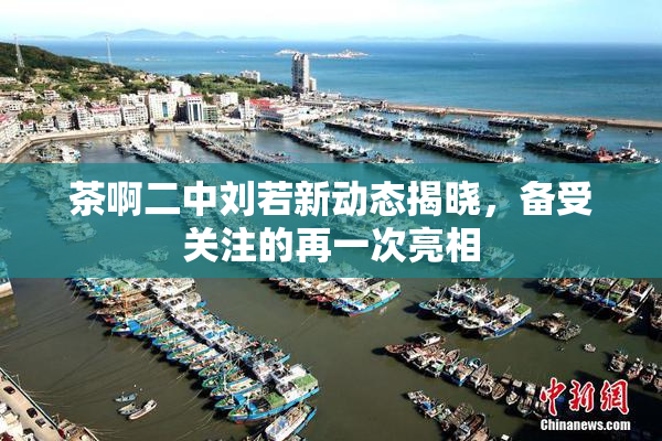 茶啊二中刘若新动态揭晓，备受关注的再一次亮相