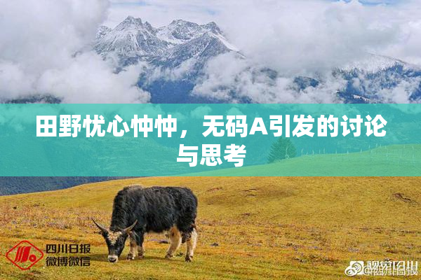 田野忧心忡忡，无码A引发的讨论与思考