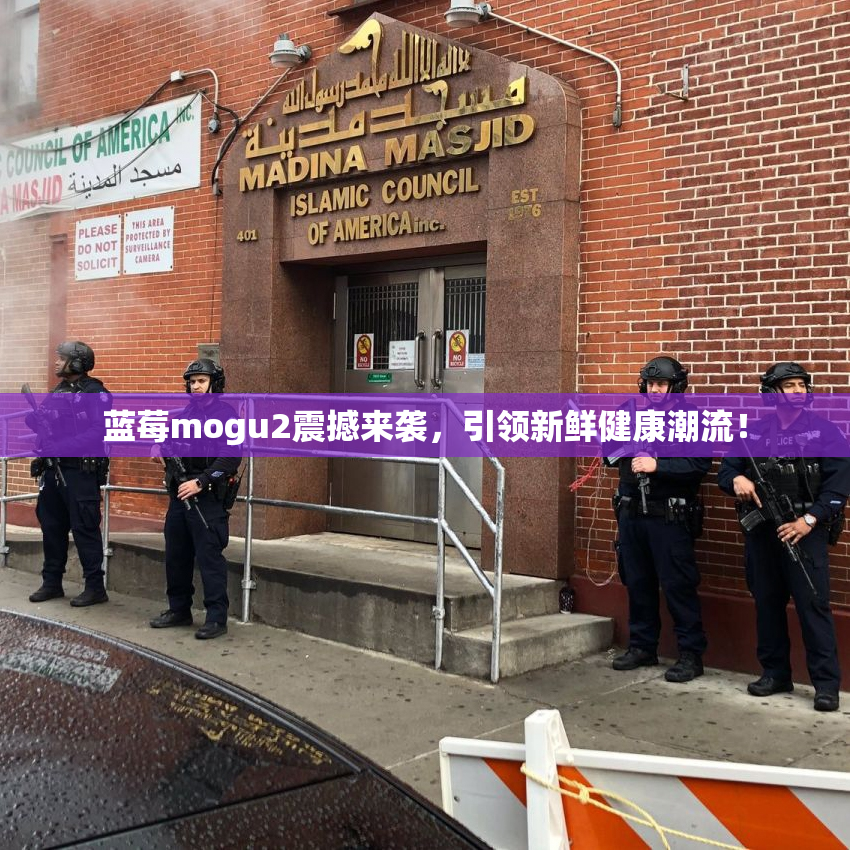蓝莓mogu2震撼来袭，引领新鲜健康潮流！